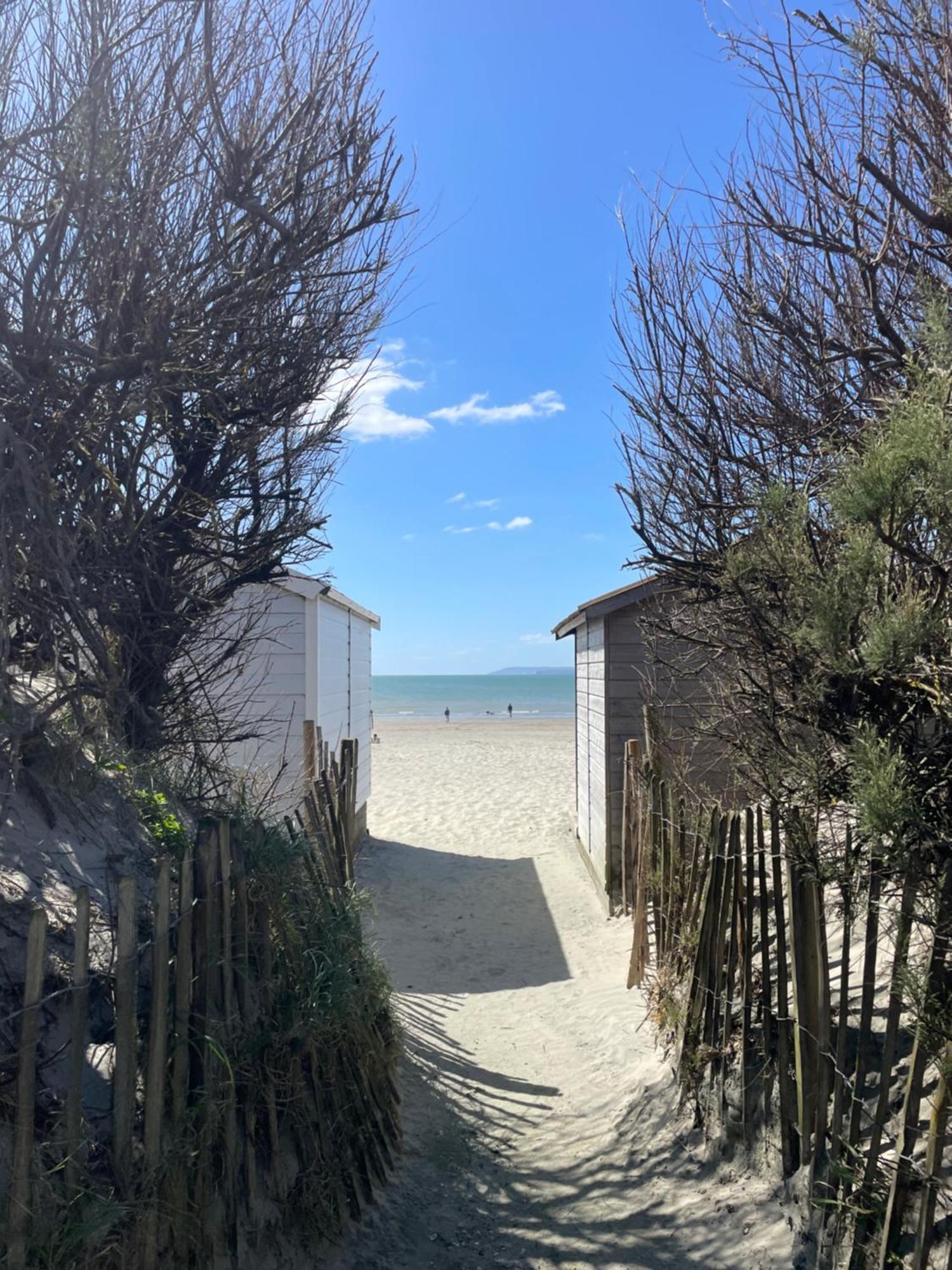 'Bramley Fall Cottage' ' On Site Ev Point - Attached Cottage,3 Separate Bedrooms -1 On Ground Level, Sleeps 6, 2 Bathrooms, Sandy Wittering Beach 8Min Drive, Rural Location, Child Friendly, Small Breed Dog Friendly, Private Parking Чічестер Екстер'єр фото